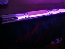 Mace windu force for sale  Bunnell