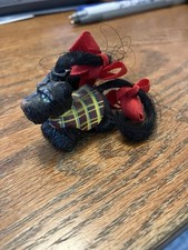 Pretty little pups for sale  Myrtle Beach