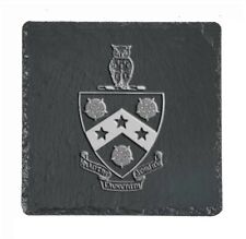 Phi gamma delta for sale  Palatine