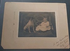 DUFFUS BROS Johannesburg RPA Jack Russell Terrier lub Fox zdjęcie dziecka pies na sprzedaż  Wysyłka do Poland