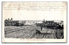 Steam tractor thresher for sale  Oakland