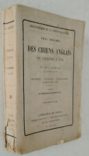 1901 chiens anglais d'occasion  Corbigny