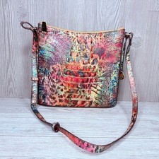 Brahmin rainbow fish for sale  Largo