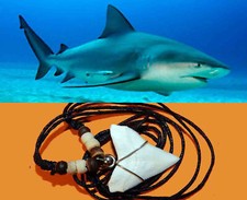 Carcharhinus leucas collana usato  Roma