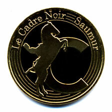 Saumur cadre noir d'occasion  Losne