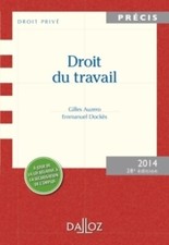 Droit travail. édition d'occasion  Hennebont