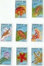 Antigua 1990 fish for sale  Brooklyn