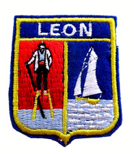 Ecusson leon landes d'occasion  Épinay-sous-Sénart
