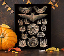 Poster print spooky for sale  Mifflinburg