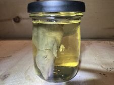 Wet specimen common for sale  CARDIGAN