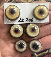 Taxidermy glass eyes for sale  WETHERBY