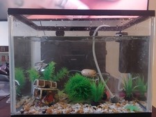 Led glass aquarium for sale  LONDON
