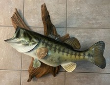 Largemouth bass lbs for sale  Conroe
