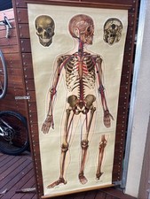 Large vintage medical d'occasion  Expédié en Belgium