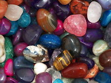 2000 carat lots for sale  Harrison City