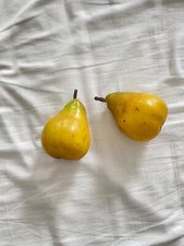 Kunststoff birnen vintage gebraucht kaufen  Düsseldorf