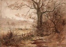 Sheep trees landscape for sale  UK