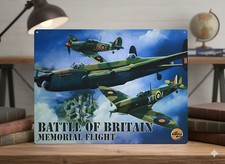 Battle britain memorial for sale Battle britain memorial for sale  BIRKENHEAD