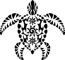 Tortue maori nouvelle d'occasion  Ingwiller