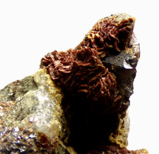 Sphalerite siderite force for sale  BLACKPOOL
