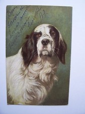 Cpa chien epagneul d'occasion  Combs-la-Ville