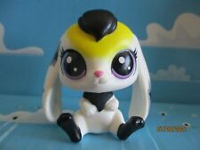 Petshop lapin belier d'occasion  Bailleul