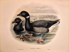 Rare original hand d'occasion  Expédié en Belgium