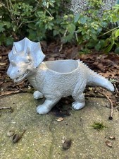 Triceratops dinosaur plant for sale  UK