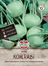 Sperli kohlrabisamen noriko gebraucht kaufen  Aurich