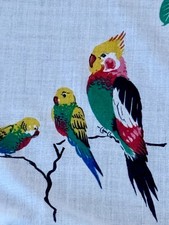 1950 tropical birds for sale  Jacksonville