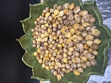 Genuine elephant garlic for sale  SOUTHAMPTON