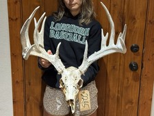 166 whitetail deer for sale  Harper