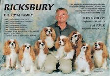 CANIL CAVALIER KING CHARLES RAÇA CACHORRO IMPRESSÃO PÁGINA 2000 CANIL RICKSBURY, usado comprar usado  Enviando para Brazil