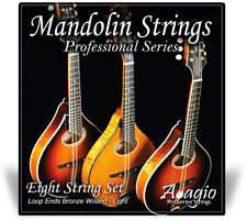 Mandolin string pack for sale  WARRINGTON