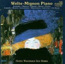 Welte mignon piano gebraucht kaufen  Berlin