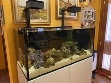Acquario marino redsea usato  Zinasco