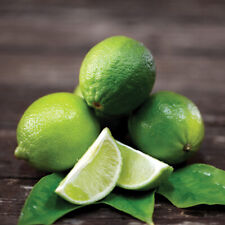 Lime fruit half for sale  IPSWICH