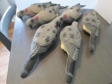 dove decoys for sale dove decoys for sale Lake City