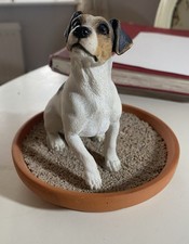 Jack russell dog for sale  BRENTWOOD