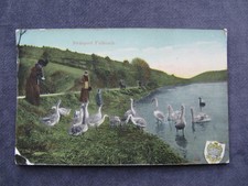 Old postcard swanpool for sale  NOTTINGHAM