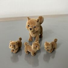 Puppy pocket family for sale  EDINBURGH