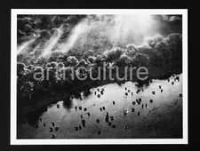 Sebastiao salgado genesis d'occasion  France