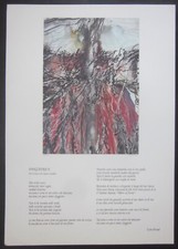 Danzatrice ezra pound usato  Boves