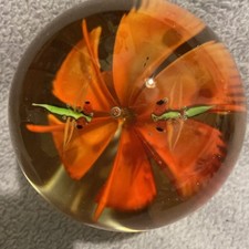 insect paperweight for sale insect paperweight for sale UK