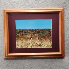 Vintage autumn landscape for sale  Lockport