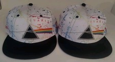 Grassroots pink floyd for sale  Weirton