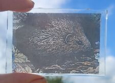 Stained glass hedgehog for sale  BATTLE