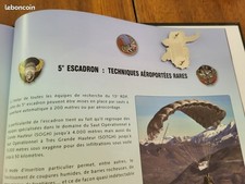 Gros pins rdp d'occasion  Roanne