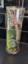 Alien facehugger jar for sale  COALVILLE