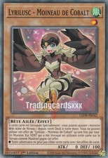 Lyrilusc moineau cobalt d'occasion  Argenteuil